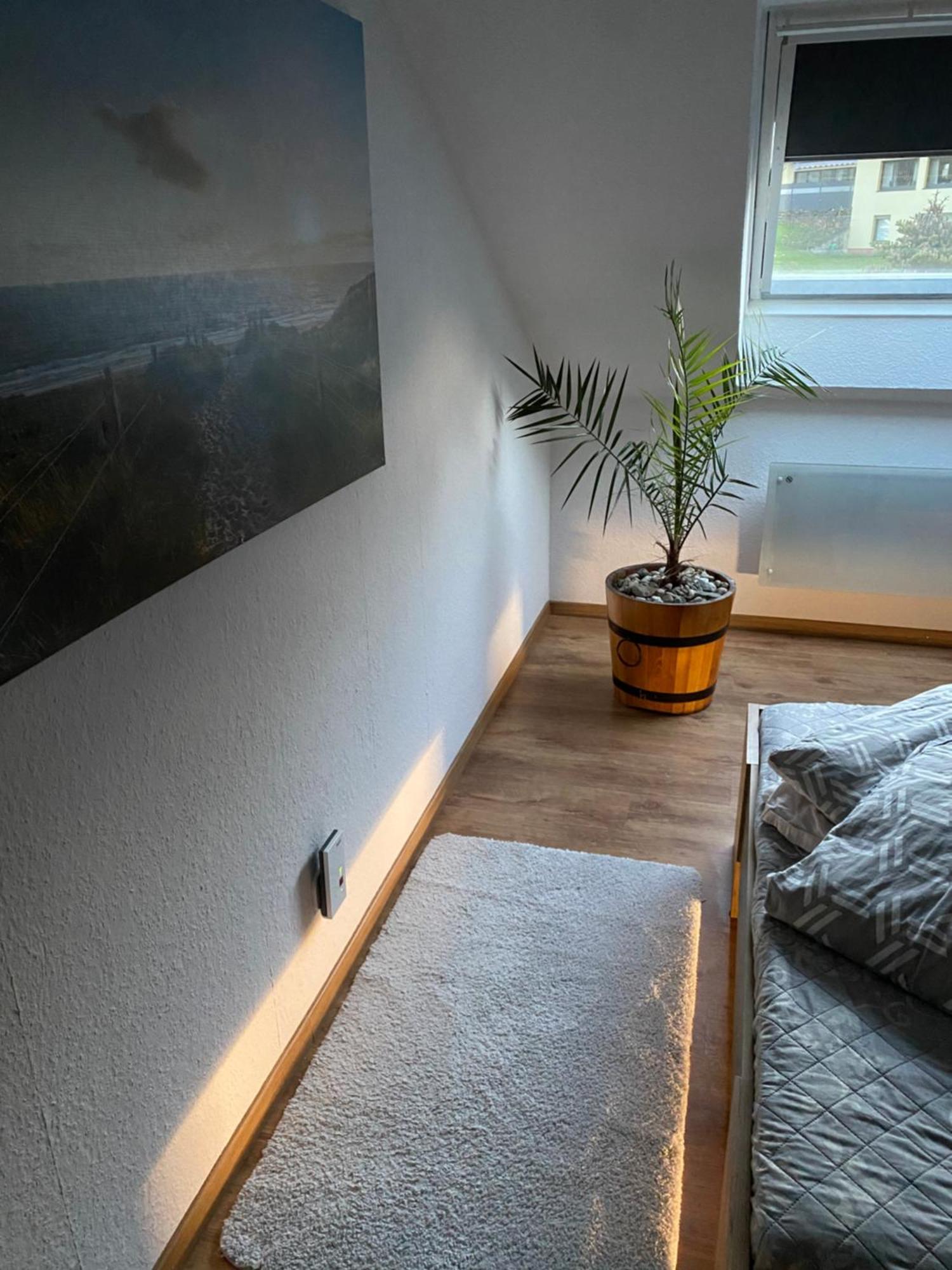 Fewo Skywalk Willingen Stryck エクステリア 写真