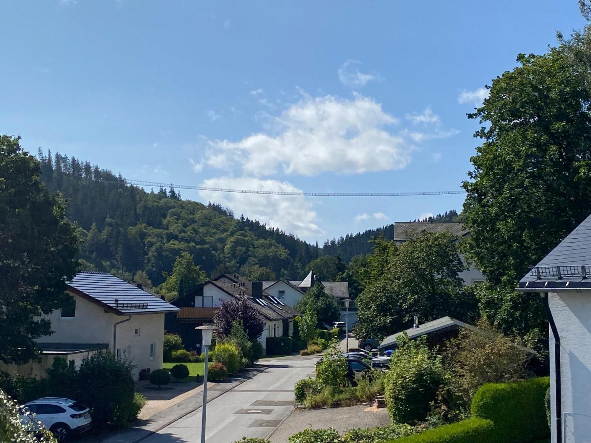 Fewo Skywalk Willingen Stryck エクステリア 写真