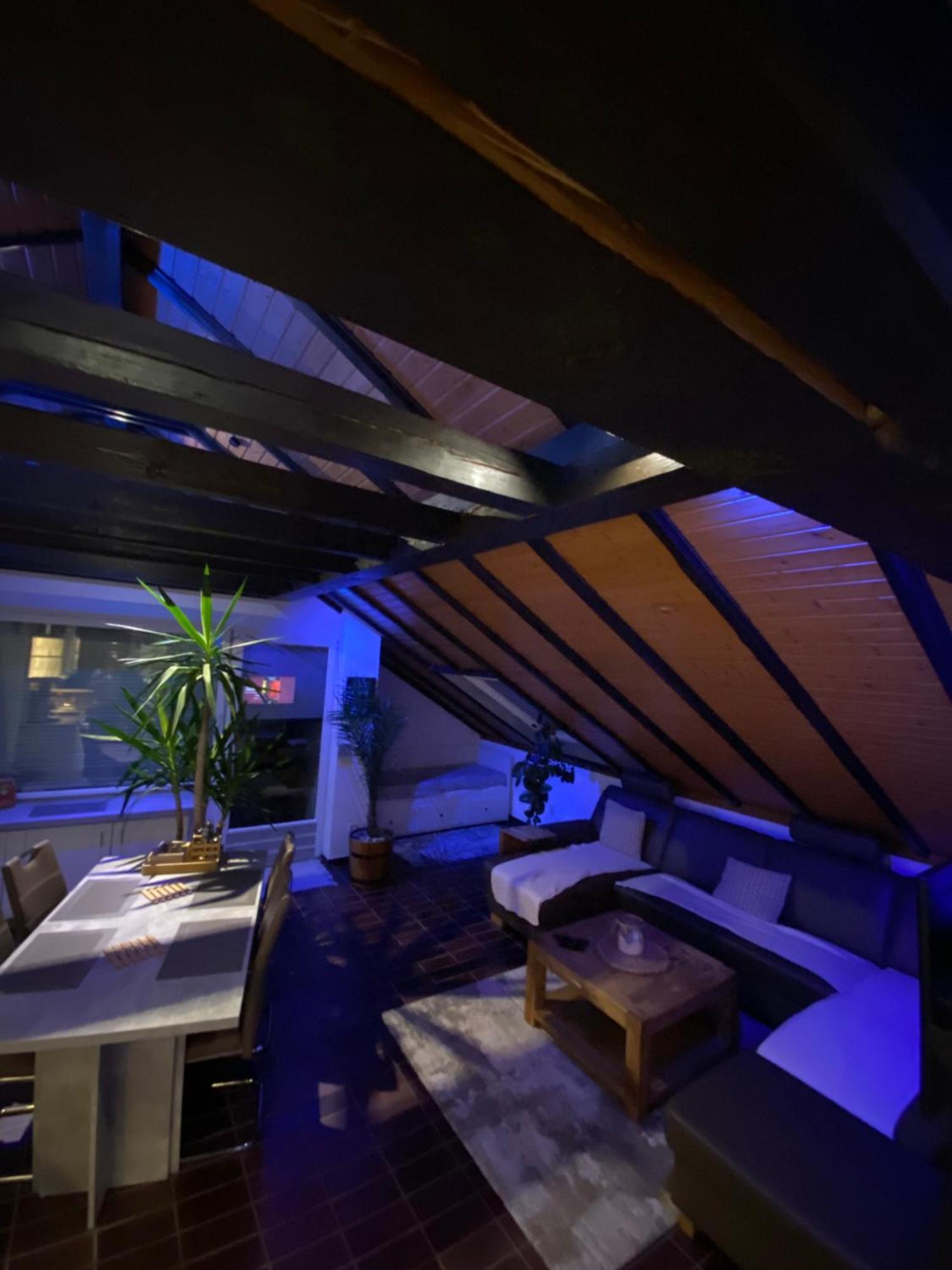 Fewo Skywalk Willingen Stryck エクステリア 写真